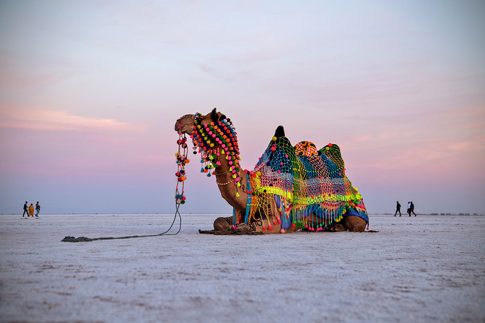 Gujarat & Kutch Heritage Tour  18 Days with Mount Abu, Dholavira & Gir